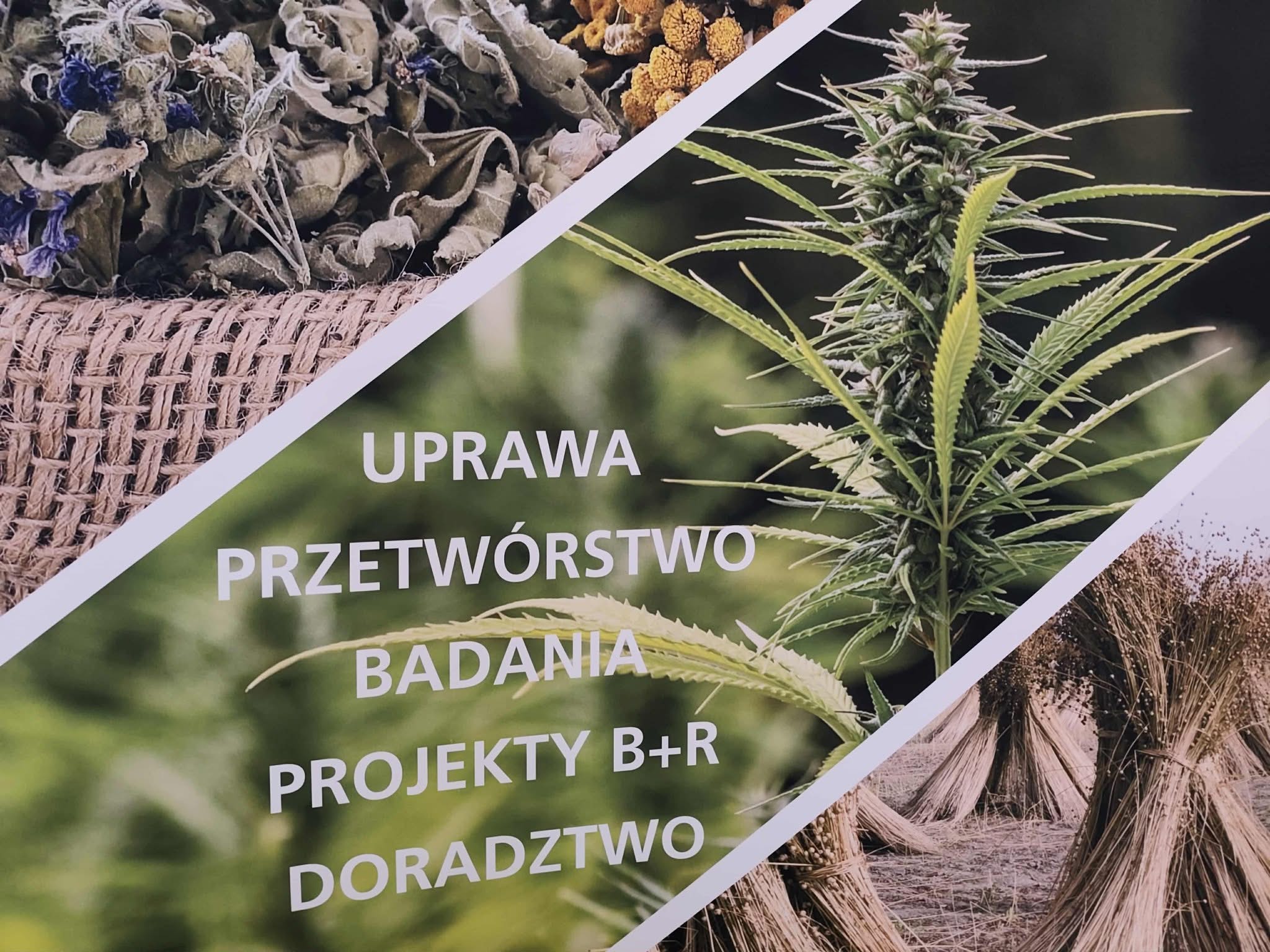 Na początku lutego 2026 roku odwiedziliśmy Instytut Włókien Naturalnych i Rośli…