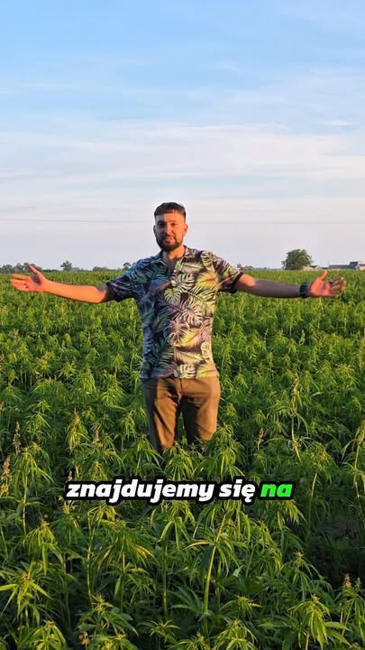 🌿 Już 25-26 lipca zapraszamy do Płowiec na wyjątkowe Święt…